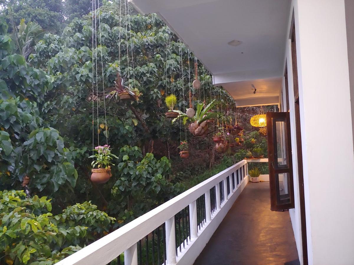 Hotel Daasa Guest Mirissa Esterno foto